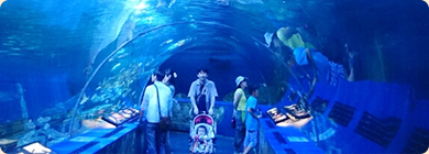 水族館
