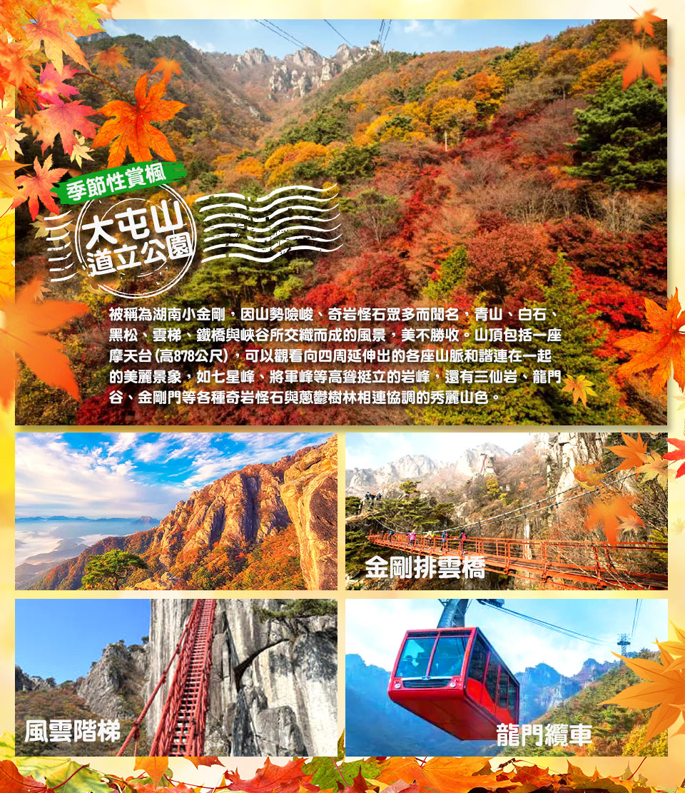 大屯山+龍門纜車+金剛排雲橋+風雲階梯