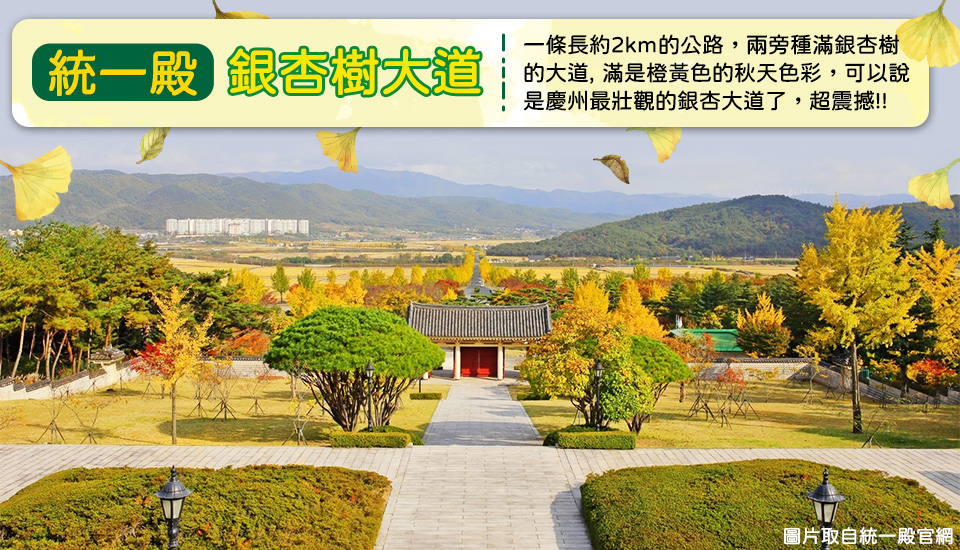 統一殿銀杏樹大道