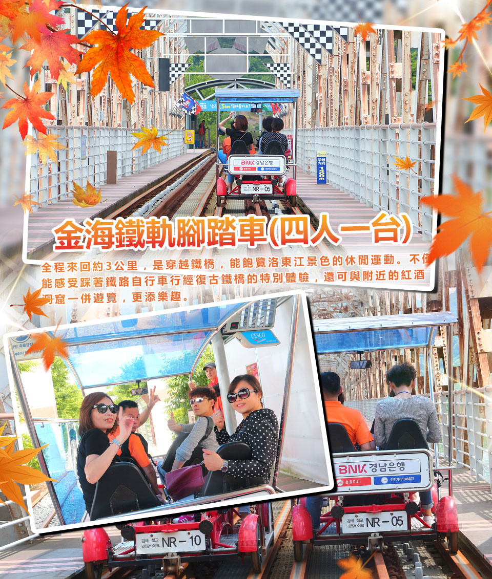 洛東江鐵道自行車-秋