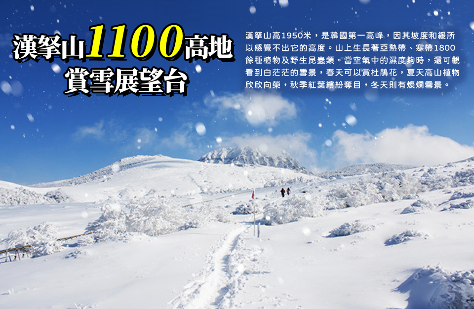 漢拏山1100高地-冬