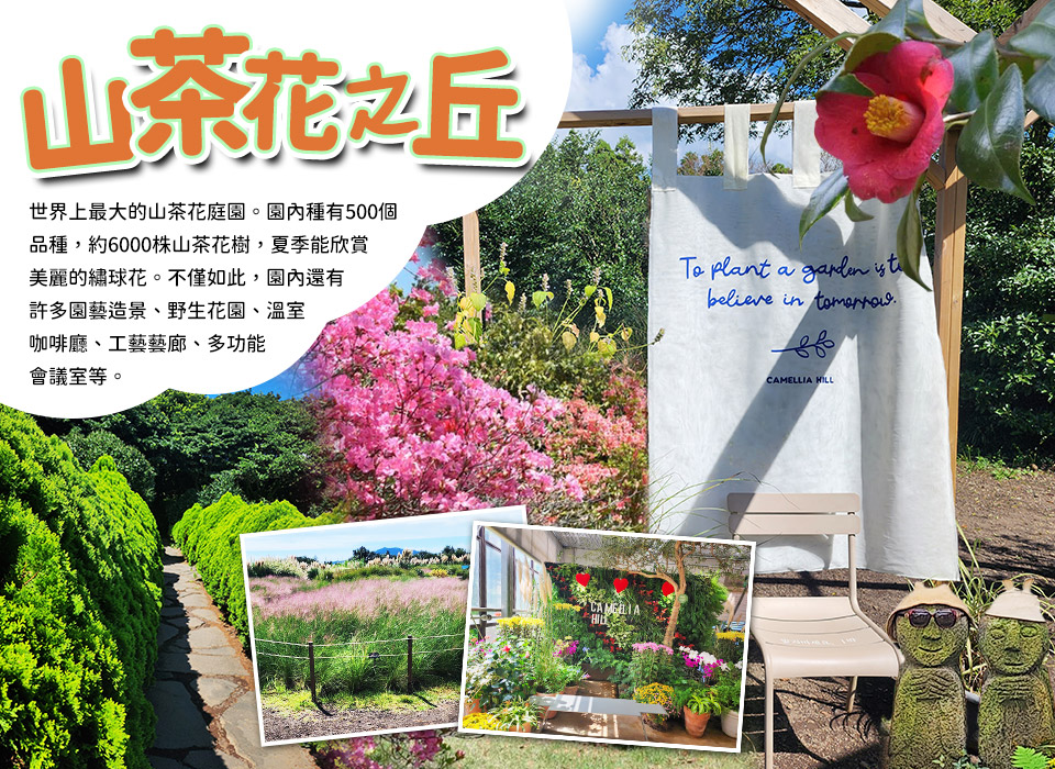 山茶花之丘-秋