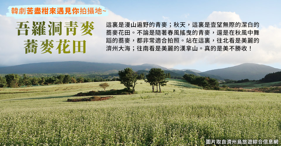 吾羅洞青麥
