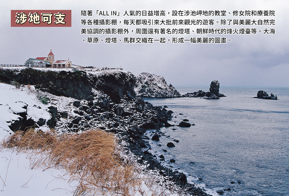 涉地可支-冬